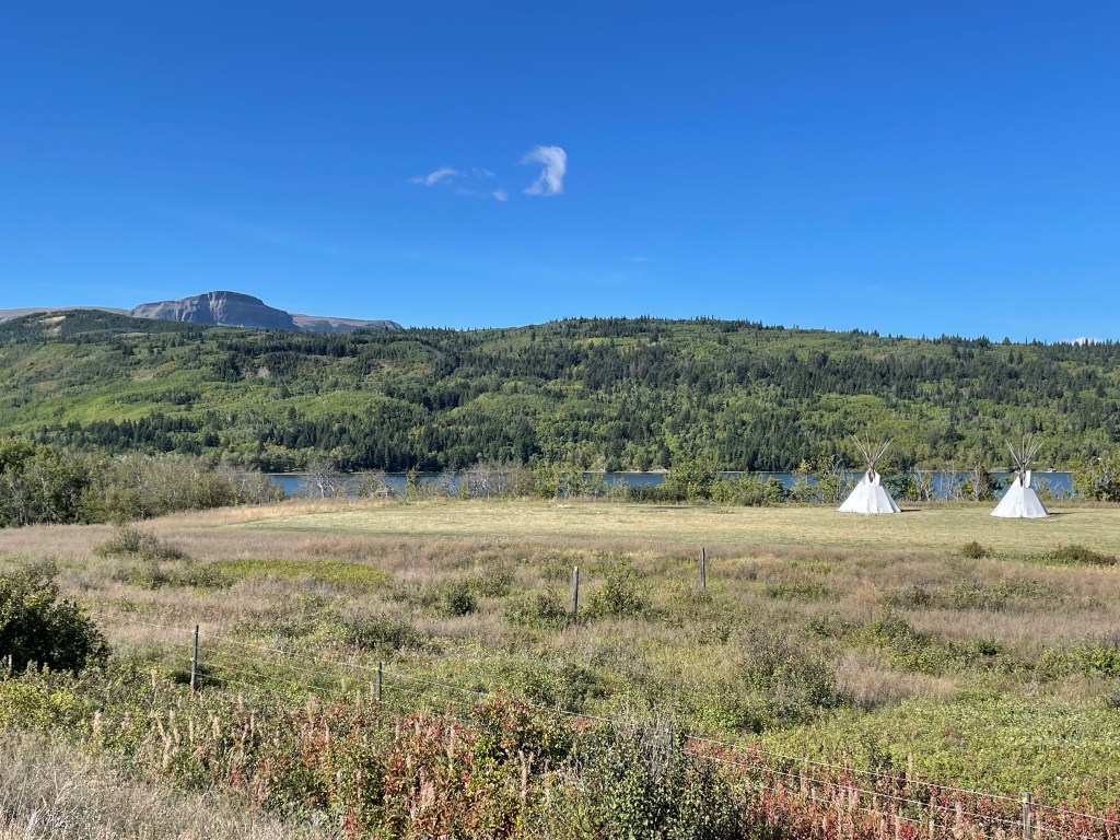 And…..I like dogs!