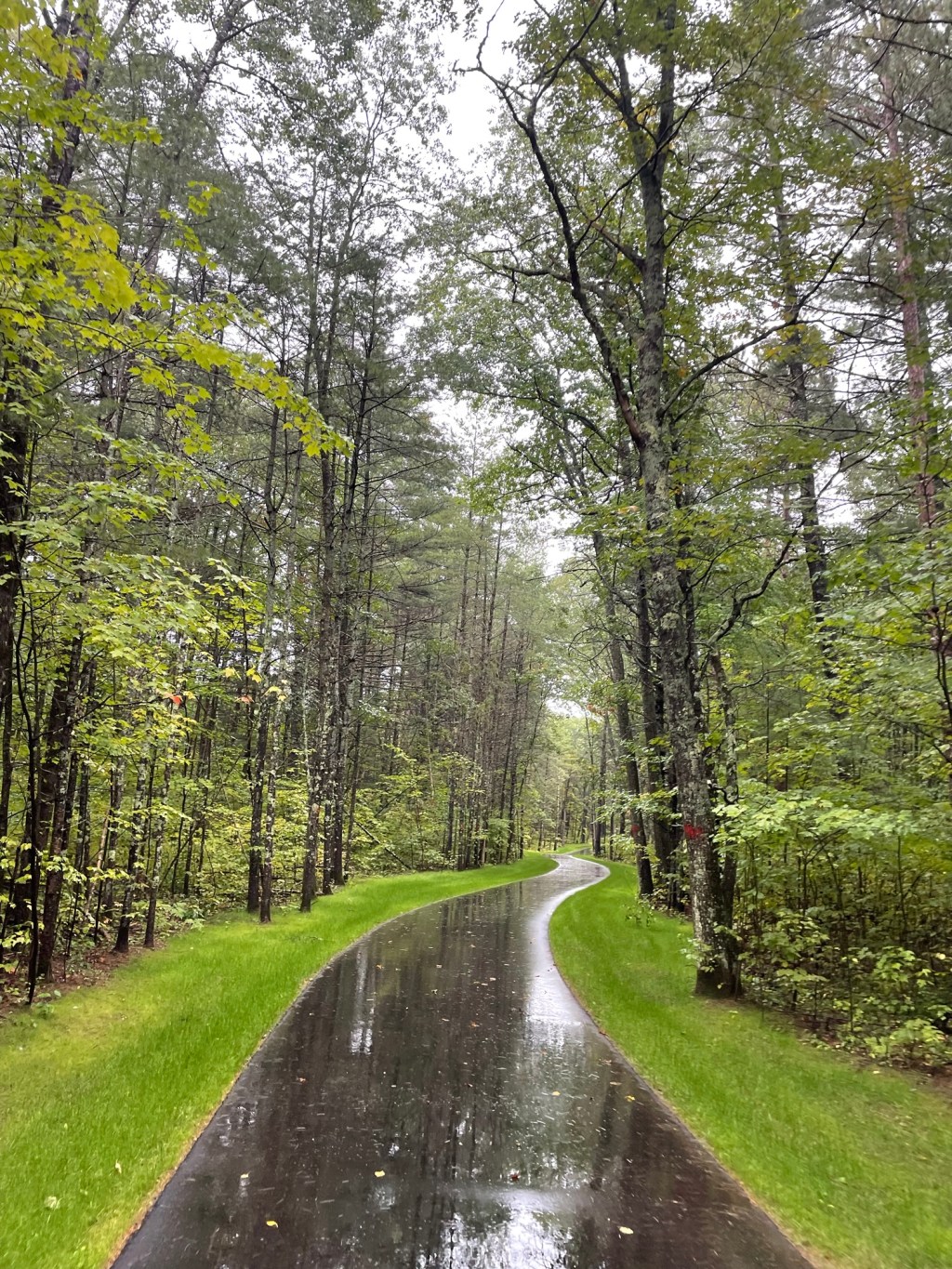 Rain, rain go&nbsp;away